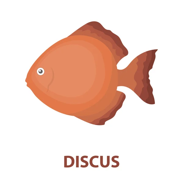 Discus ryby ikonu kreslený. Připálit akvarijních ryb ikonu z moře, oceánu života kreslené. — Stock fotografie