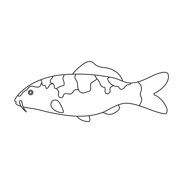 Carp-koi fish icon line. Singe aquarium fish icon from the sea,ocean life set. — Stock Photo, Image