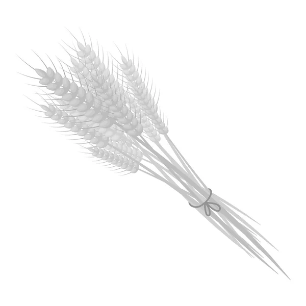 Lot d'icône de blé dans un style monochrome isolé sur fond blanc. Illustration vectorielle du symbole de la Journée canadienne de l'Action de grâce . — Image vectorielle