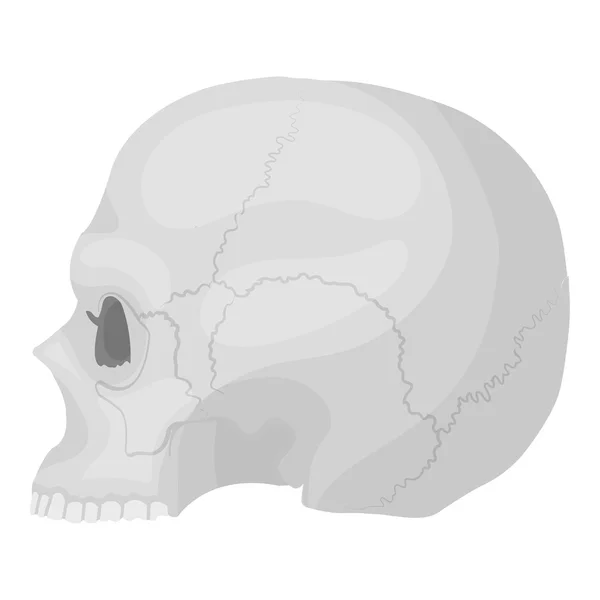 흰색 배경에 격리 된 흑백 스타일의 두개골 아이콘입니다. 화이트, 매직, 기호 스톡 벡터 일러스트. — 스톡 벡터