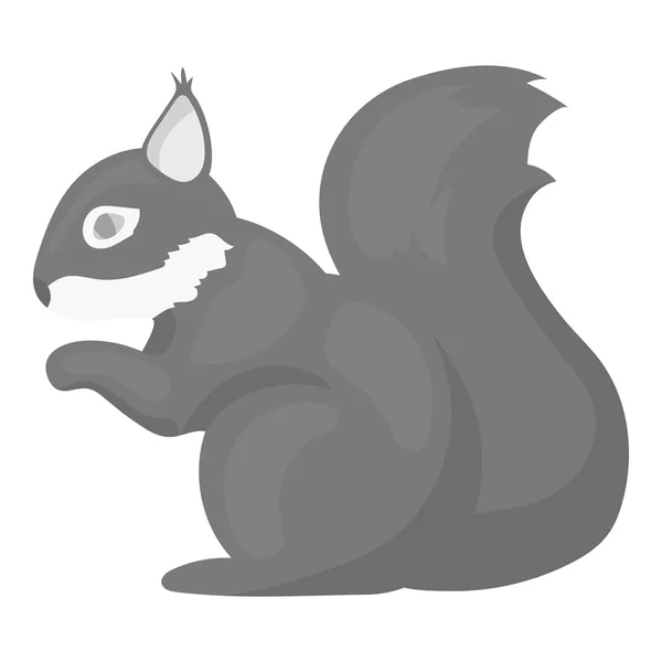 Squirrel vector icon in monochrome style for web — Stock Vector