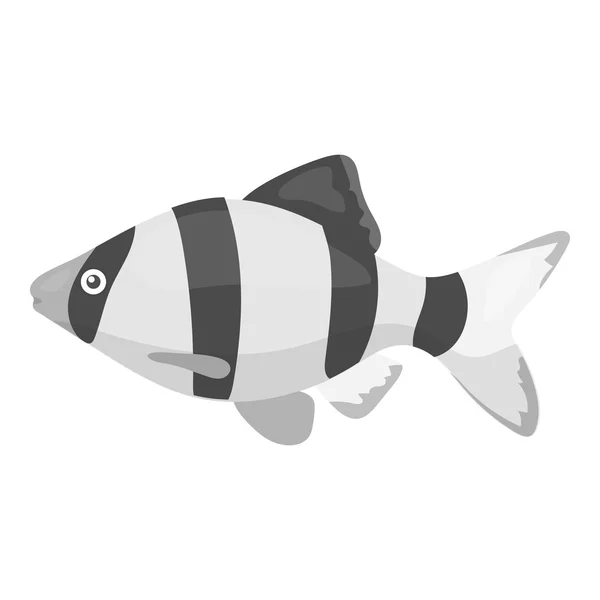Barbus fish icon monochrome. Singe aquarium fish icon from the sea,ocean life monochrome. — Stock Vector