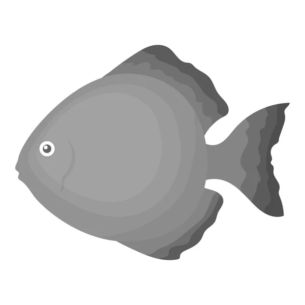 Discus fish icon monochrome. Singe aquarium fish icon from the sea,ocean life monochrome. — Stock Vector