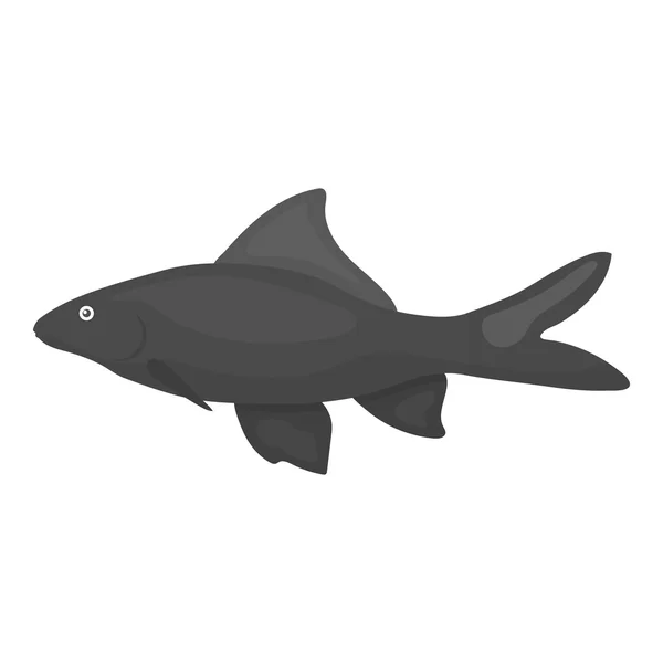 Red Tail Shark icono de pescado monocromo. Singe acuario icono de los peces del mar, la vida marina monocromo . — Archivo Imágenes Vectoriales