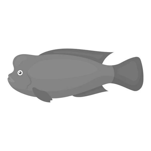Stearocranus pez icono monocromo. Singe acuario icono de los peces del mar, la vida marina monocromo . — Vector de stock