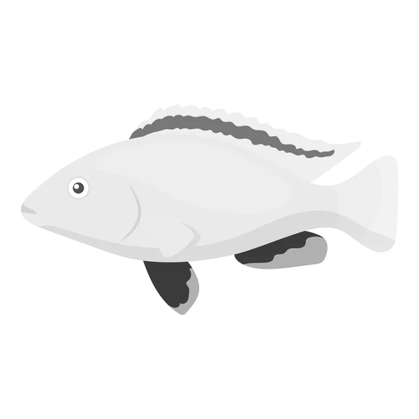 Buntbarsch Kolibri Fisch Symbol monochrom. singe aquarium fish icon aus dem meer, ocean life monochrom. — Stockvektor