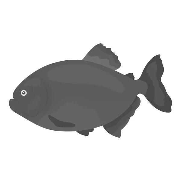 Piranha icona pesce monocromatico. Singe acquario icona di pesce dal mare, vita oceanica monocromatica . — Vettoriale Stock