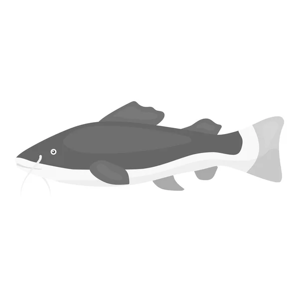 Phractocephalus hemioliopterus fish icon monochrome. Singe aquarium fish icon from the sea,ocean life monochrome. — Stock Vector