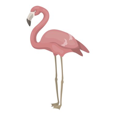 Flamingo simgesi beyaz arka plan üzerinde izole karikatür tarzı. Kuş sembol stok vektör çizim.