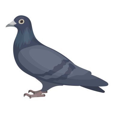 Güvercin simgesi beyaz arka plan üzerinde izole karikatür tarzı. Kuş sembol stok vektör çizim.