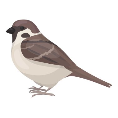 Serçe simgesi beyaz arka plan üzerinde izole karikatür tarzı. Kuş sembol stok vektör çizim.