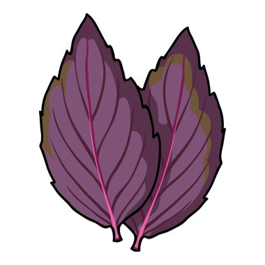 Mor fesleğen simgesi beyaz arka plan üzerinde izole karikatür tarzı. Herb bir baharat sembol stok vektör çizim.