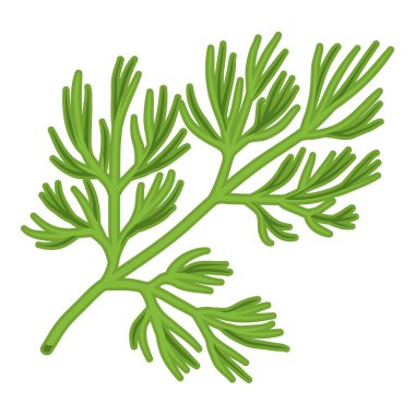 Dereotu simgesi beyaz arka plan üzerinde izole karikatür tarzı. Herb bir baharat sembol stok vektör çizim.