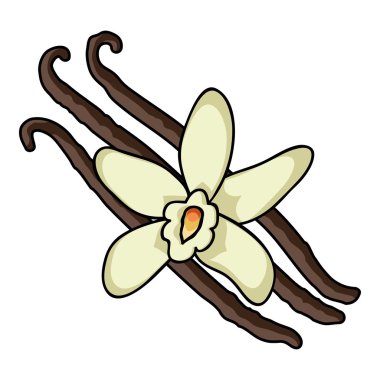 Vanilya simgesi beyaz arka plan üzerinde izole karikatür tarzı. Herb bir baharat sembol stok vektör çizim.