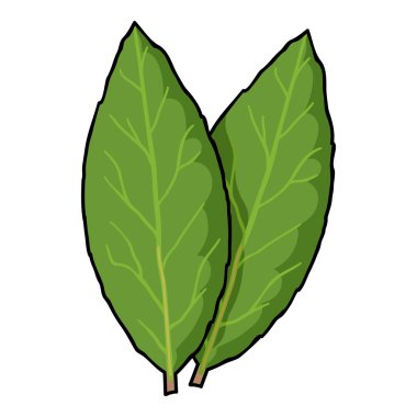 Laurus simgesi beyaz arka plan üzerinde izole karikatür tarzı. Herb bir baharat sembol stok vektör çizim.