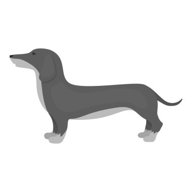 Dachshund vektör simgesi web için tek renkli tarzında