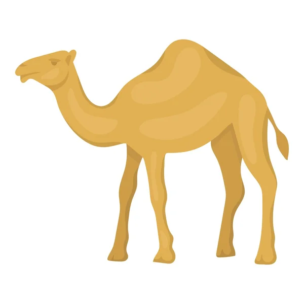 在白色背景上孤立的卡通风格的骆驼图标。阿拉伯联合酋长国象征股票矢量图. — 图库矢量图片