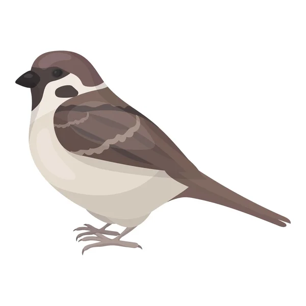 Icono de gorrión en estilo de dibujos animados aislado sobre fondo blanco. Pájaro símbolo stock vector ilustración . — Vector de stock