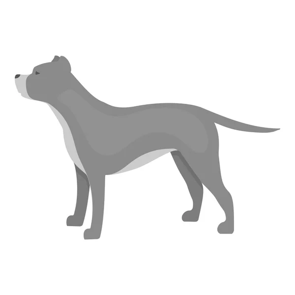 Pitbull vector icon in monochrome style for web — Stock Vector