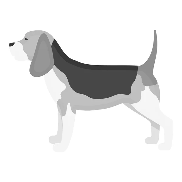 Beagle vector icon in monochrome style for web — Stock Vector