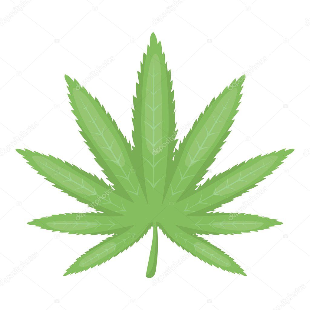 Marijuana leaf icon in cartoon style isolated on white background. Drugs symbol vector illustration.