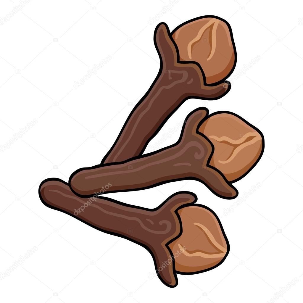 Clove icon in cartoon style isolated on white background. Herb an