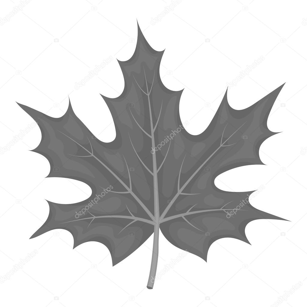 Maple leaf icon in monochrome style isolated on white background. Canadian Thanksgiving Day symbol stock vector illustration.