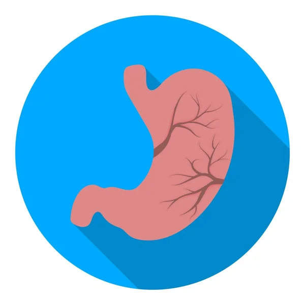 Icono de estómago en estilo plano aislado sobre fondo blanco. Organos símbolo stock vector ilustración . — Archivo Imágenes Vectoriales