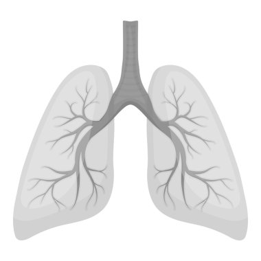 Akciğerler simgesi beyaz arka plan üzerinde izole tek renkli tarzı. Organları sembol stok vektör çizim.