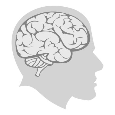 Beyin simge tek renkli. Büyük okul, üniversite tek renk simgesinden tek eğitim.