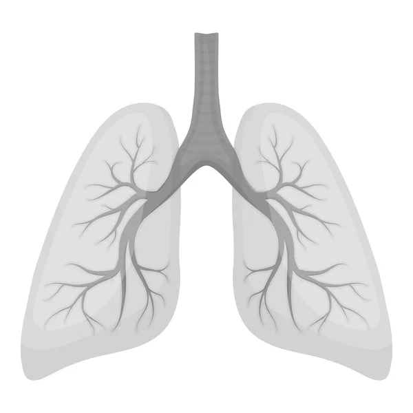 Het pictogram van de longen in zwart-wit stijl geïsoleerd op een witte achtergrond. Organen symbool voorraad vectorillustratie. — Stockvector