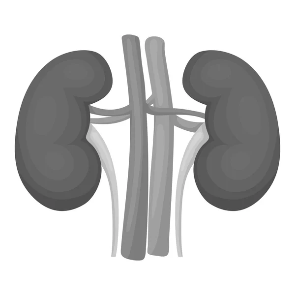 Icono de riñón en estilo monocromo aislado sobre fondo blanco. Organos símbolo stock vector ilustración . — Archivo Imágenes Vectoriales