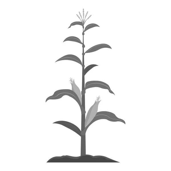 Kukuřici monochromatické ikony. Rostliny ikona z černobílého velké farmy, zahrady, zemědělství. — Stockový vektor