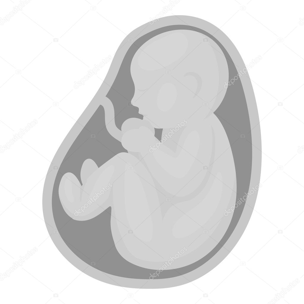 Fetus icon in monochrome style isolated on white background. Pregnancy symbol stock vector illustration.