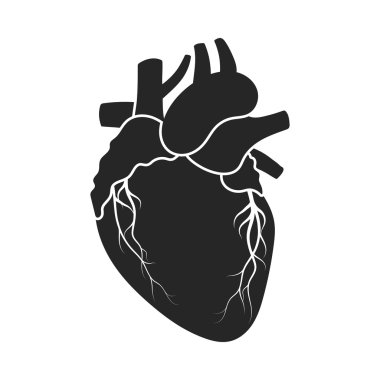 Siyah tarzında beyaz arka plan üzerinde izole kalp simgesi. Organları sembol stok vektör çizim.