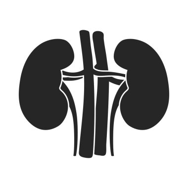 Böbrek simge siyah stil beyaz arka plan üzerinde izole içinde. Organları sembol stok vektör çizim.