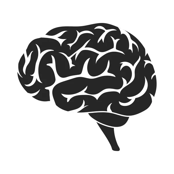 大脑中孤立的白色背景上的黑色风格的图标。器官象征股票矢量图. — 图库矢量图片