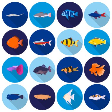 Akvaryum balık simgeler düz stil ayarlayın. Büyük koleksiyon akvaryum balık sembol stok illüstrasyon vektör