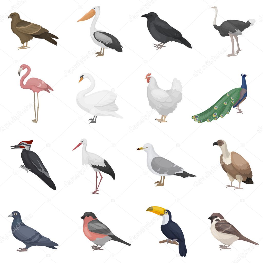Bird set icons in cartoon style. Big collection bird vector symbol stock