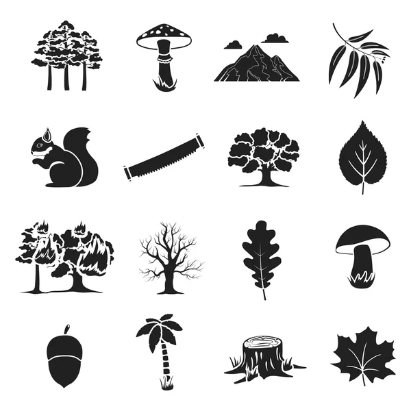 Floresta definir ícones em estilo preto. Grande coleção floresta vetor símbolo estoque ilustração — Vetor de Stock