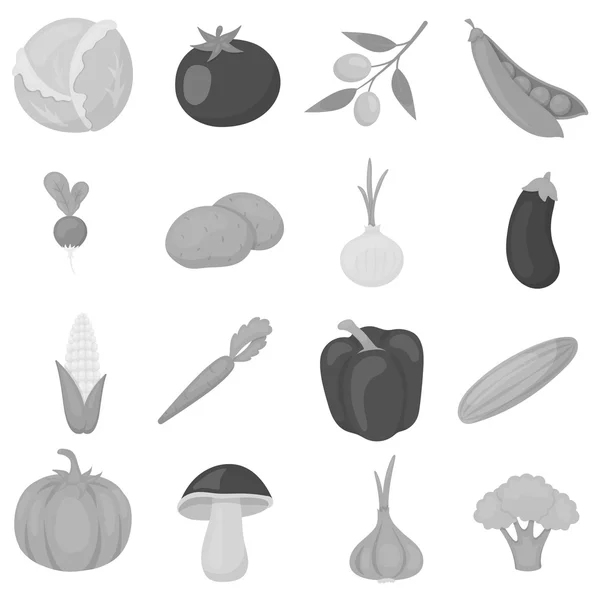 Las verduras establecen iconos en estilo monocromo. Gran colección de verduras vector símbolo stock ilustración — Vector de stock