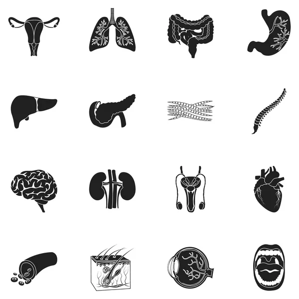 Los órganos establecen iconos en estilo negro. Gran colección órganos vector símbolo stock ilustración — Vector de stock