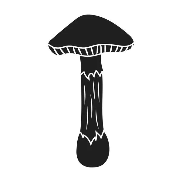 Muchomůrka ikona v černém stylu izolovaných na bílém pozadí. Houbová symbol akcií vektorové ilustrace. — Stockový vektor