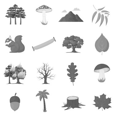 Orman, tek renkli bir tarzda Icons set. Orman vektör simge stok çizim büyük toplama