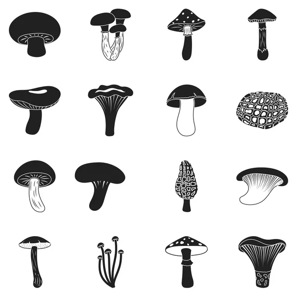 Sieni asettaa kuvakkeet mustaan tyyliin. Iso kokoelma sieni vektori symboli varastossa kuva — vektorikuva