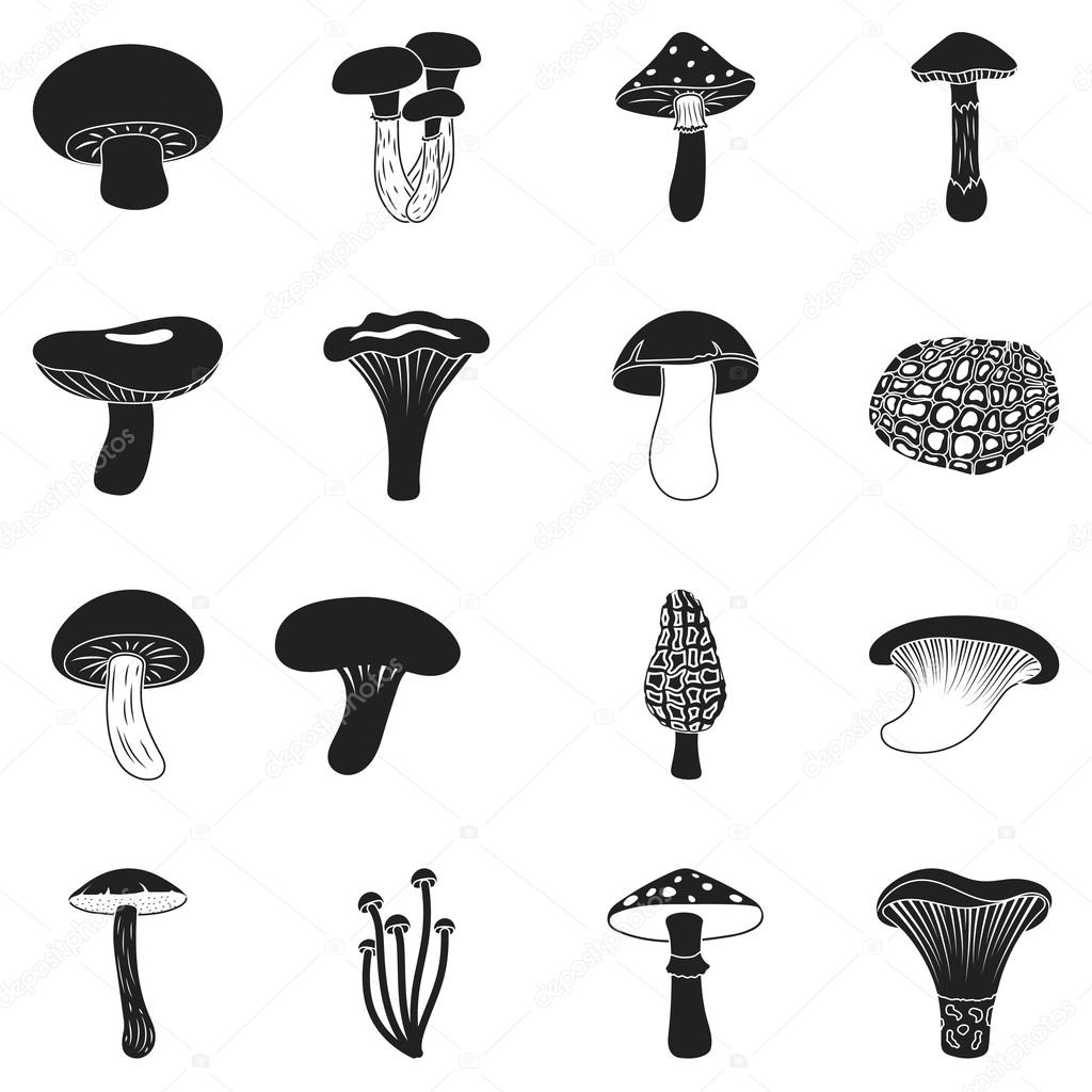 Mushroom set icons in black style. Big collection mushroom vector symbol stock illustration