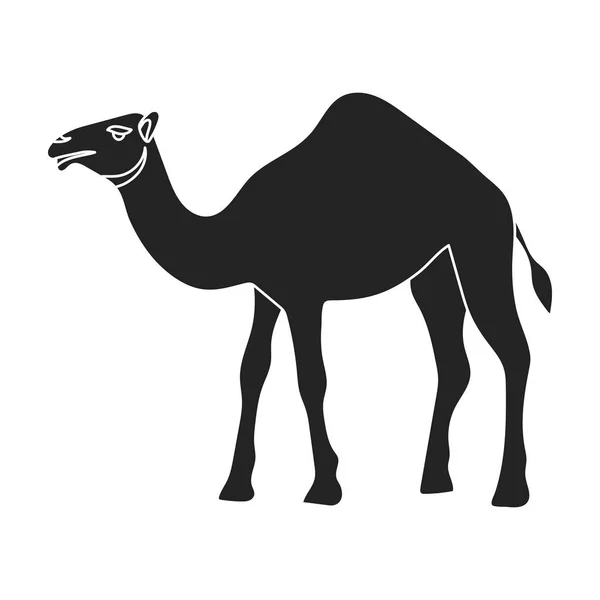 在孤立的白色背景上的黑色风格的骆驼图标。阿拉伯联合酋长国象征股票矢量图. — 图库矢量图片