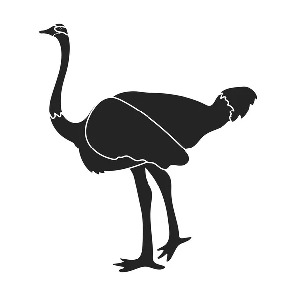 Strauß-Ikone im schwarzen Stil isoliert auf weißem Hintergrund. Vogel Symbol Aktienvektor Illustration. — Stockvektor
