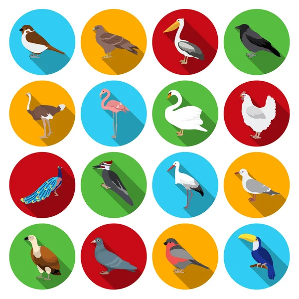 Ptak zestaw ikon w płaski. Duży zbiór ilustracji ptak wektor symbol — Wektor stockowy