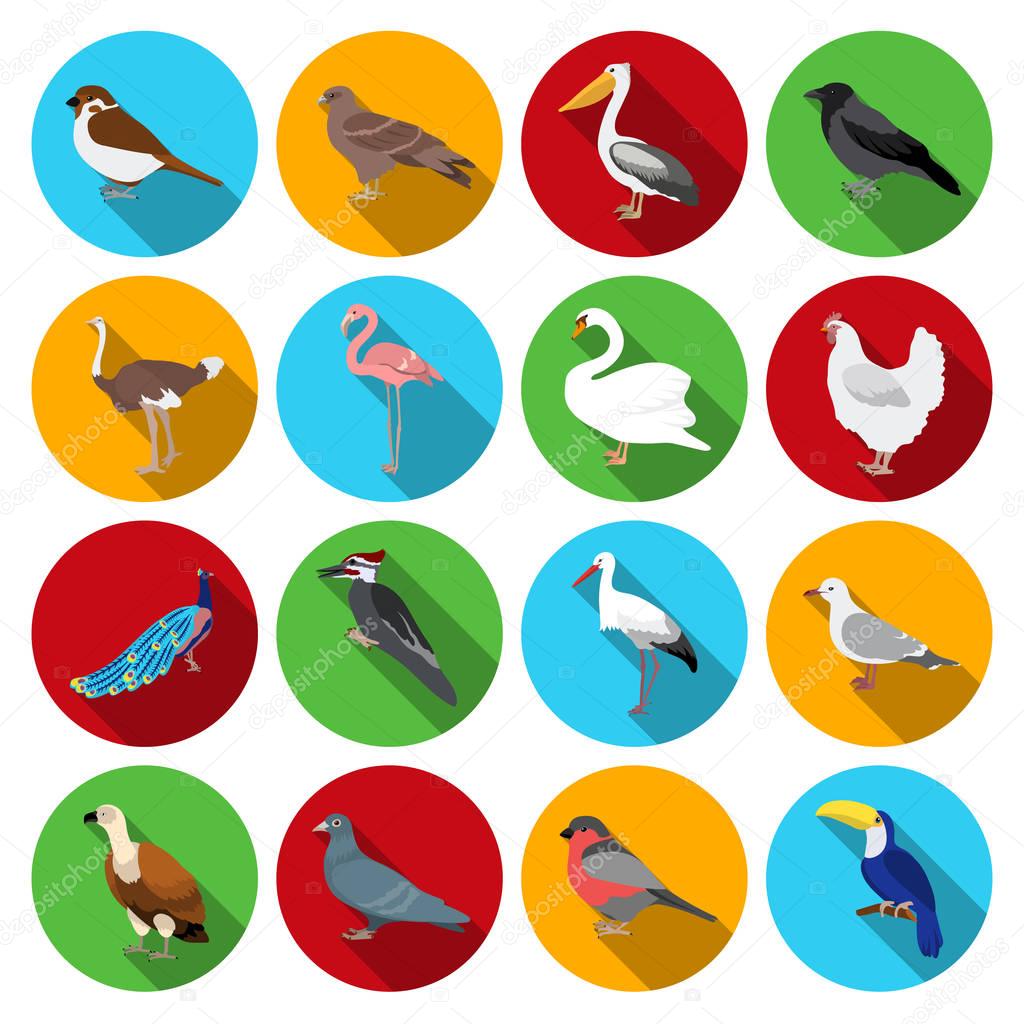 Bird set icons in flat style. Big collection of bird vector symbol stock
